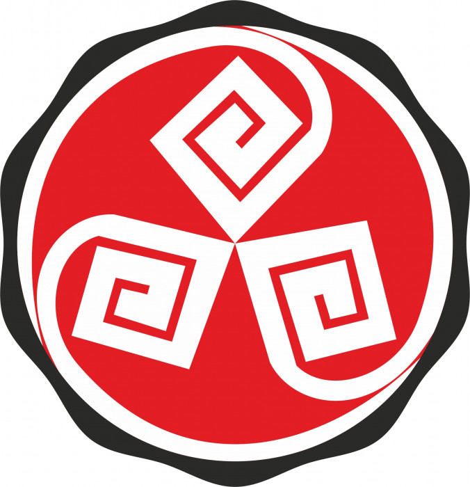 Academia de Karate Life do logo