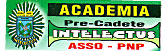 Academia Intelectus logo