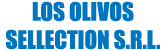 Agencia de Empleos los Olivos Sellection S.R.L.