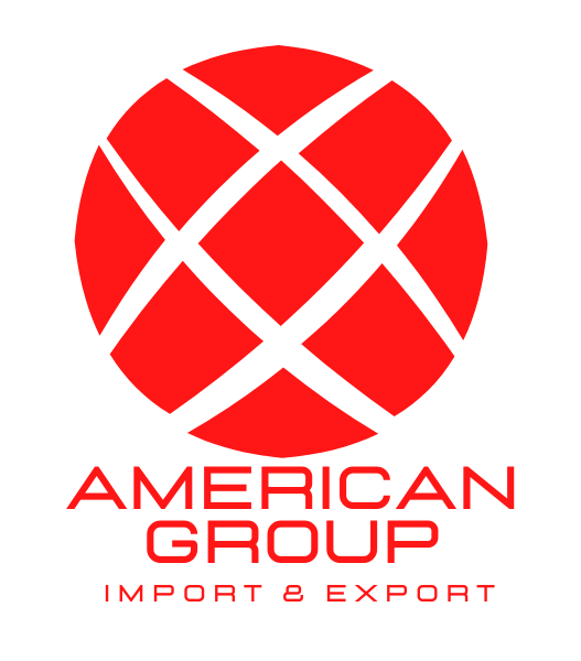 AMERICAN GROUP IMPORT EXPORT SAC logo