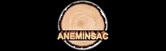 Aneminsac logo