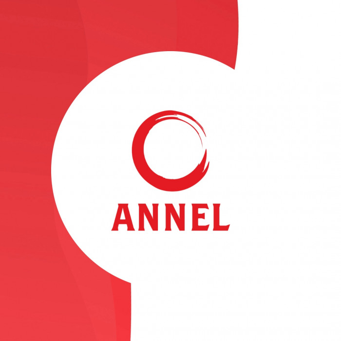 ANNEL: ESPUMAS Y TAPIZADOS logo