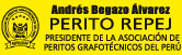 Begazo Álvarez Andrés Cristóbal logo
