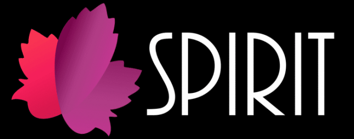 Bodega de Vinos Spirit y Piscos Miculla logo