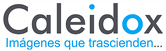 Caleidox - Digital logo