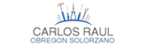 Carlos Obregón Solorzano logo