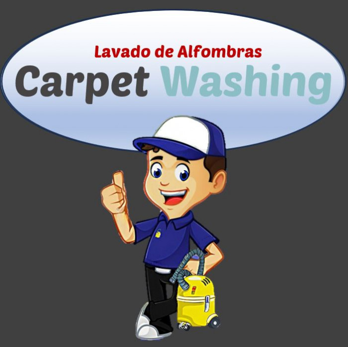 CARPET WASHING logo