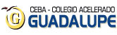 Ceba - Colegio Acelerado Guadalupe logo