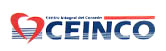 Ceinco logo
