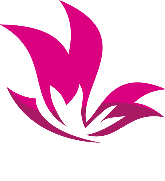 Centro Kazumi logo