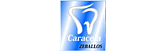 Centro Odontológico Caracela Zeballos logo