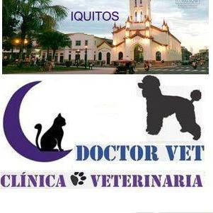 Clínica Veterinaria Doctor Vet Sede Iquitos logo