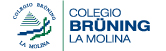 Colegio Brüning logo