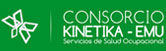 Consorcio Kinetika - Emu logo