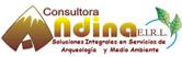 Consultora Andina E.I.R.L. logo