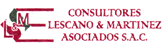 Consultores Lescano & Martínez Asociados S.A.C. logo