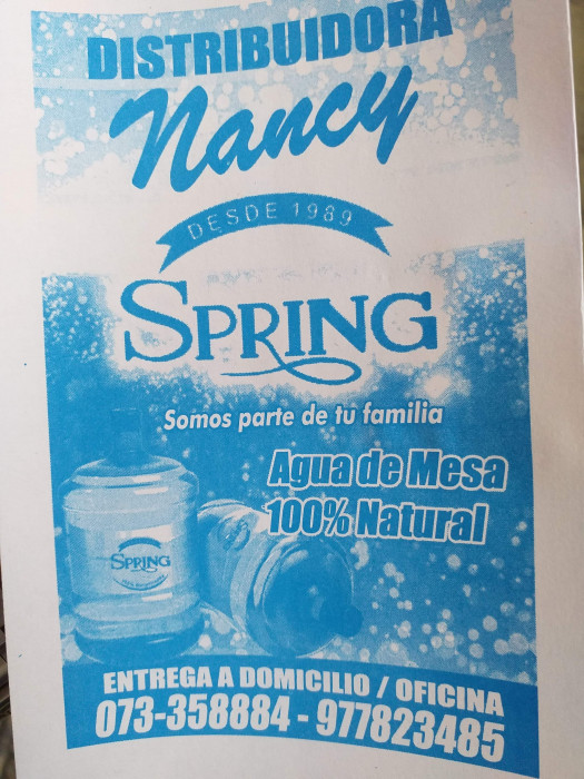 Distribuidora de Agua Spring Nancy