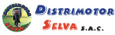 Distrimotor Selva S.A.C. logo