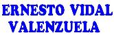 Ernesto Vidal Valenzuela logo