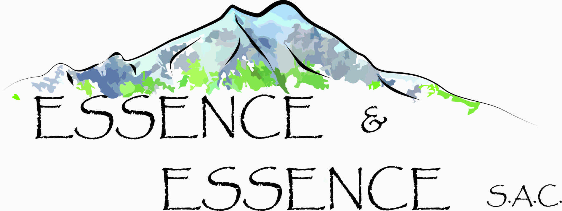 Essence And Essence logo