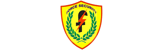Force Security S.R.L. logo