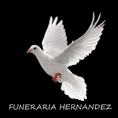 FUNERARIA HERNANDEZ ICA logo