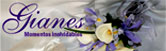Gianes-Video y Fotografía Digital logo