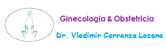 Ginecología y Obstetricia Dr. Vladimir Carranza Lozano logo