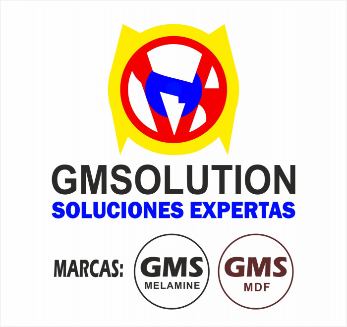 GMSOLUTION Soluciones expertas