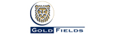 Gold Fields la Cima S.A. logo