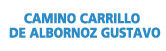 Gustavo Camino Carrillo de Albornoz logo