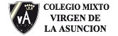 I.E.P. Virgen de la Asunción logo