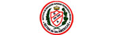 Instituto de Educación Superior Reyna de Las Américas logo