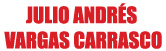 Julio Andrés Vargas Carrasco logo
