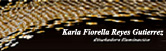 Karla Reyes Iluminación logo