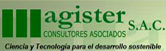 Magister S.A.C. logo