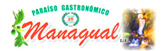 Managual logo