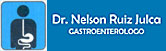 Nelson Ruíz Julca logo