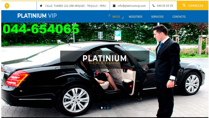 PLATINIUMVIP logo