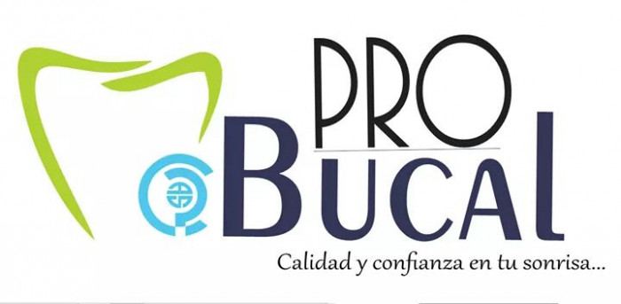 Pro Bucal consultorio DENTAL logo