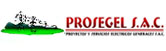 Prosegel S.A.C. logo