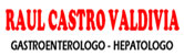 Raúl Castro Valdivia logo