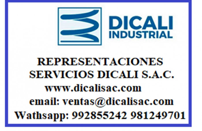 REPRESENTACIONES SERVICIOS DICALI S.A.C.