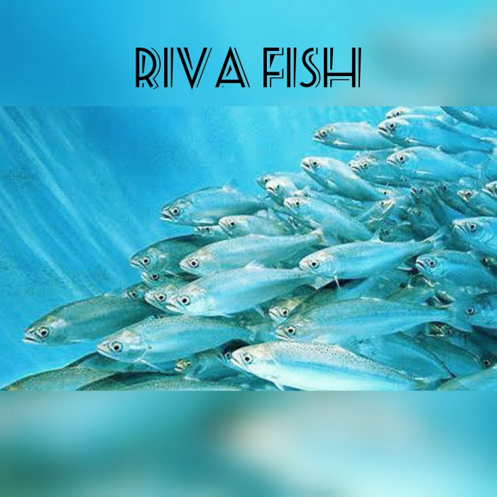 Riva Fish logo