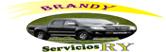 Servicio Ry Brandy Eirl logo