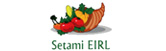 Setami E.I.R.L. logo