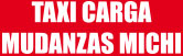 Taxi Carga Mudanzas Michi logo