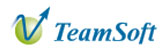Teamsoft S.A.C. logo