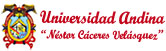 Universidad Andina Néstor Cáceres V. logo