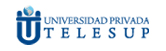 Universidad Telesup logo